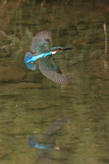 いきなりのご訪問