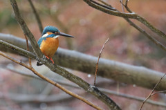 雨の日に・・・