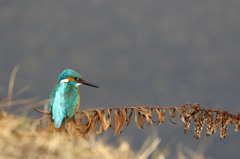 ハンサム君やっぱ綺麗