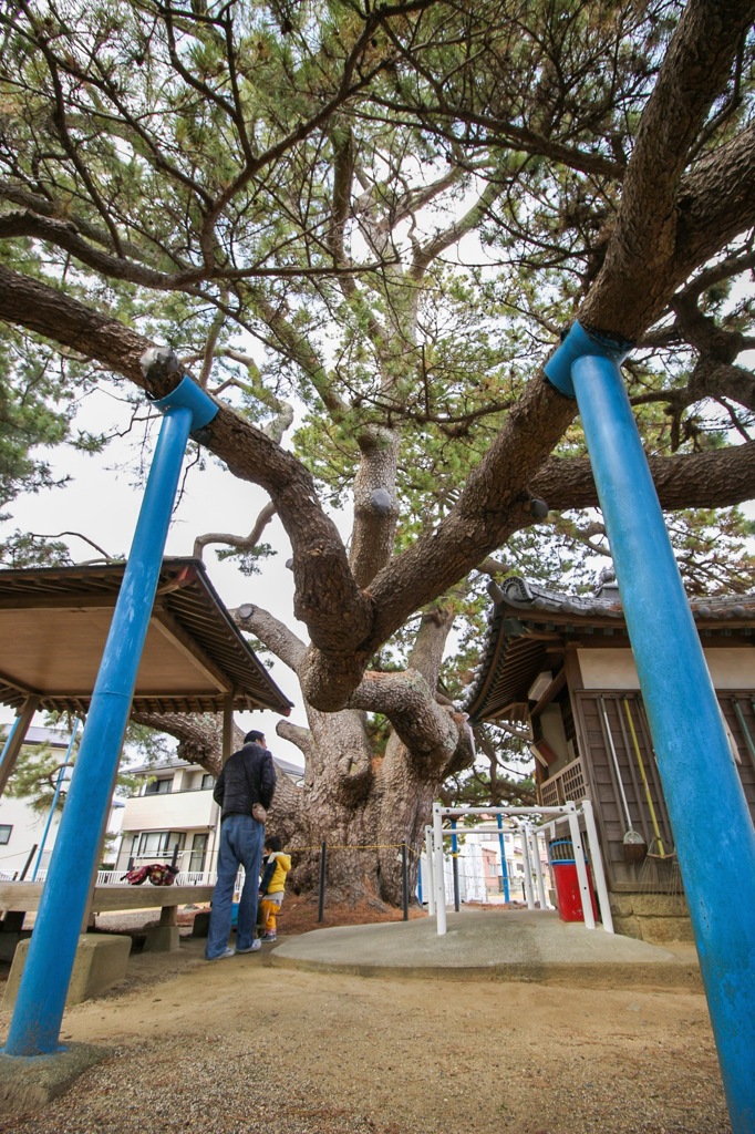 空に広がる