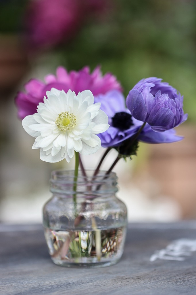 大好きな花