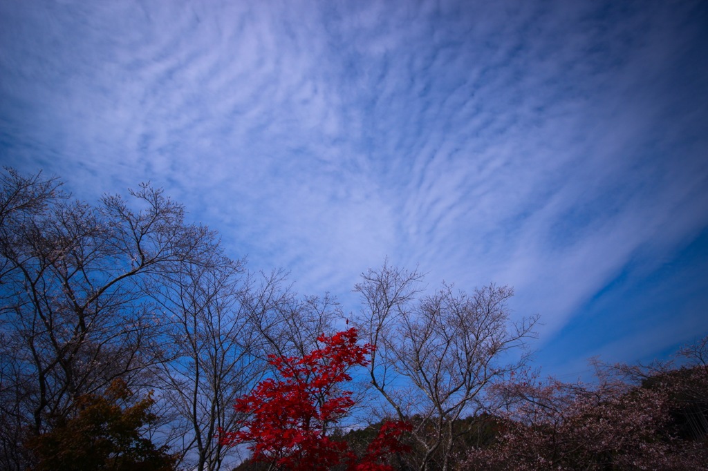 晴天