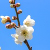 爽やか