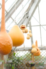ひょうたんかぼちゃ