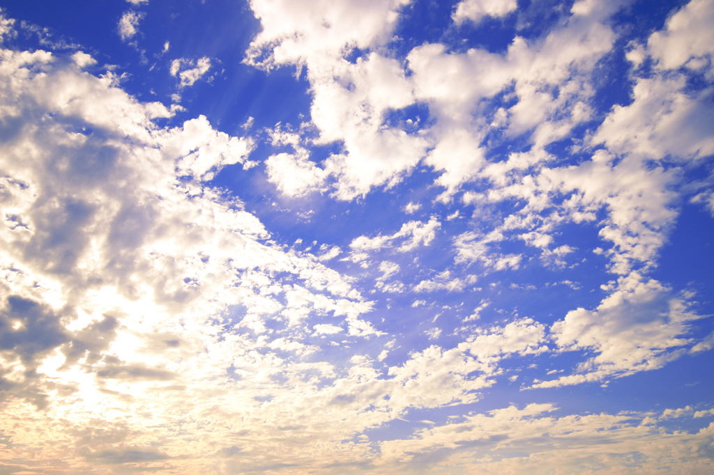 緑ヶ池の空