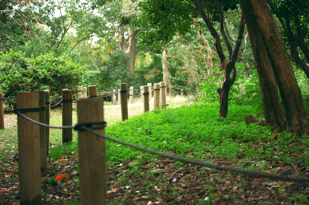 弥富野鳥園④