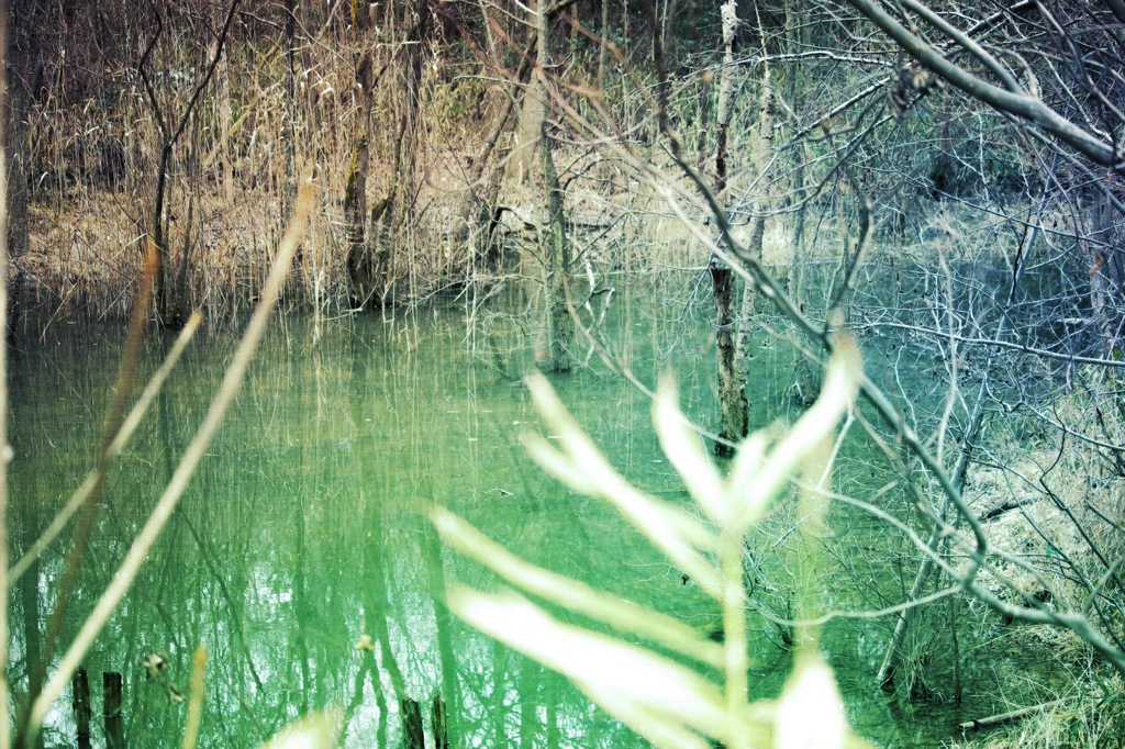 湿地