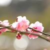 和む