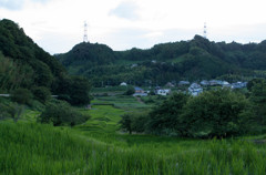 菊川市の棚田　　　千框（せんがまち）　　　IMGP0012
