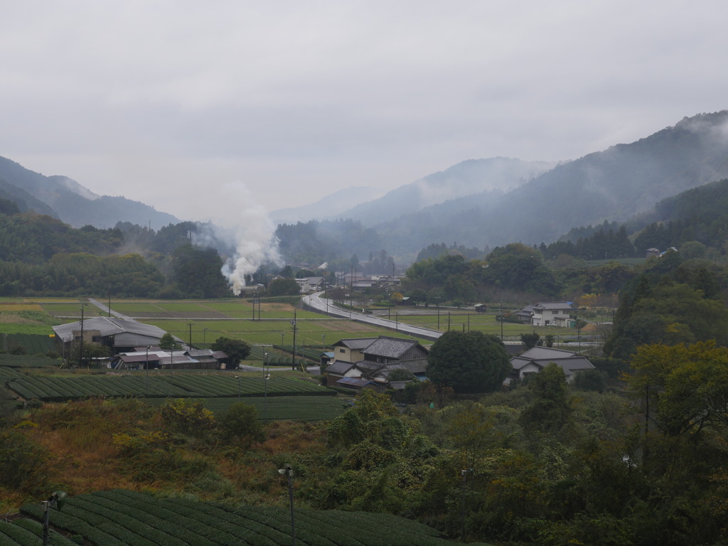 煙る山里　　　　　P1000743