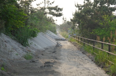 過酷な自転車道１　IMGP0041