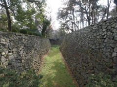 名古屋城　堀　P1000102