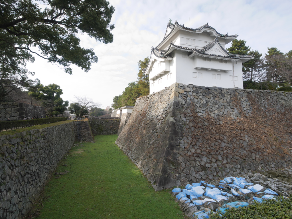 名古屋城 堀 P By てきとうスナップ Id 写真共有サイト Photohito