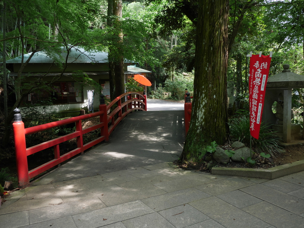 油山寺　　　　　　P1020170_1