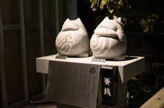 浜松夜街スナップ　肴町のだるま猫　　IMGP0111