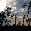 防風林と風車　IMGP0002