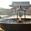 明け方の東大寺から