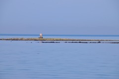 空海