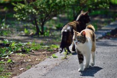 あいさつ２