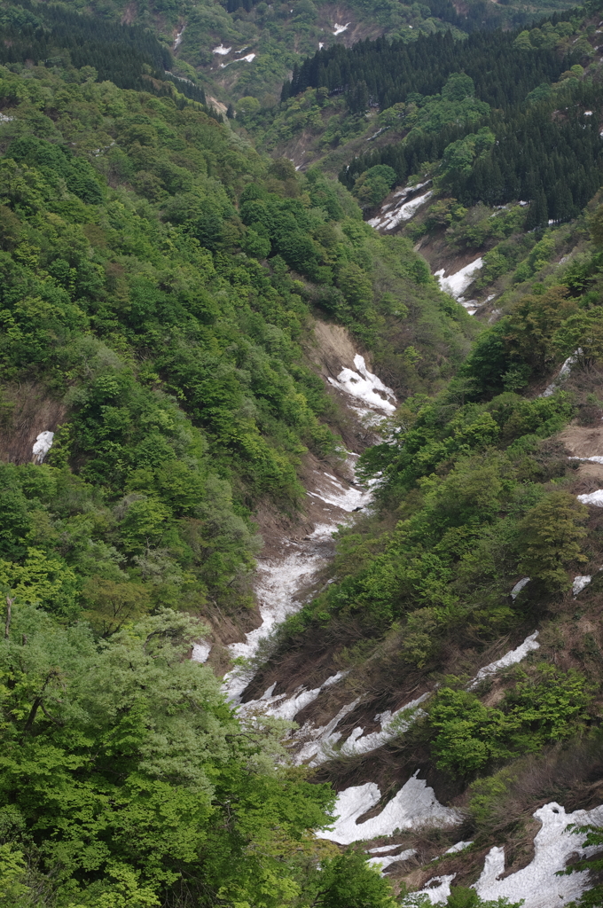 新緑と残雪