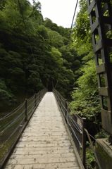 どこへ・・