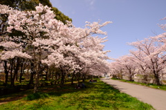 DSCF0199