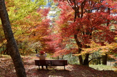 DSCF0464