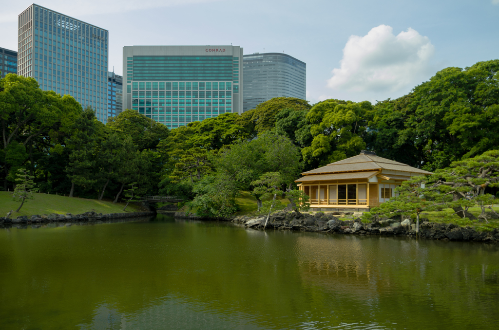 都心のオアシス