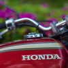 HONDA ape