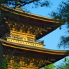 朝日を浴びる塔