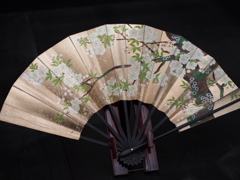 扇子に咲く桜