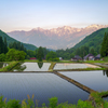 白馬村青鬼集落の棚田