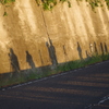 IMGP6372