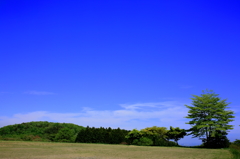 青い空