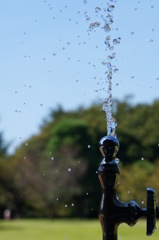 水飲み場