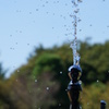 水飲み場