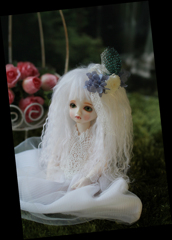 幻想の森　