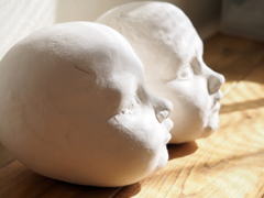 制作中ヘッド2種