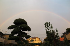 台風の次の日