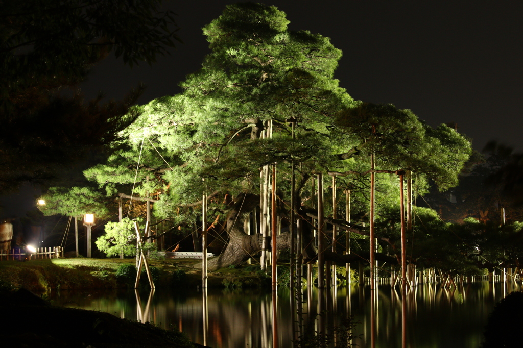 兼六園・ライトアップにて