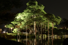 兼六園・ライトアップにて