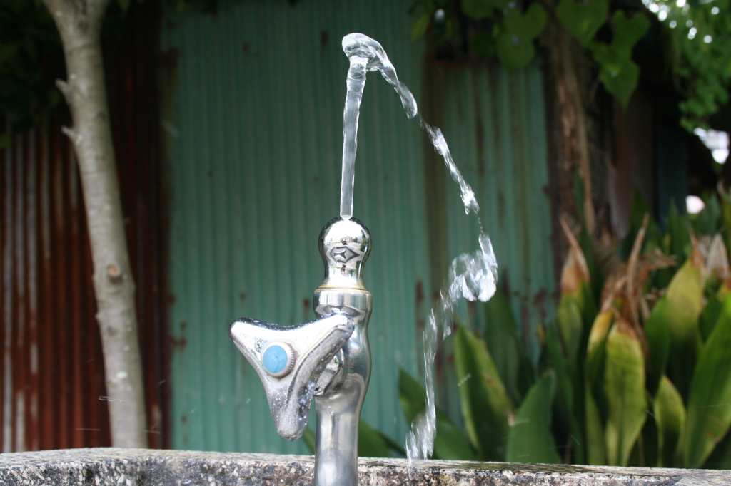 水飲み場
