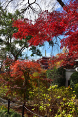 秋の本土寺