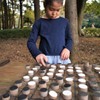 森のオセロ遊び