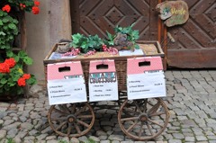 Riquewihr