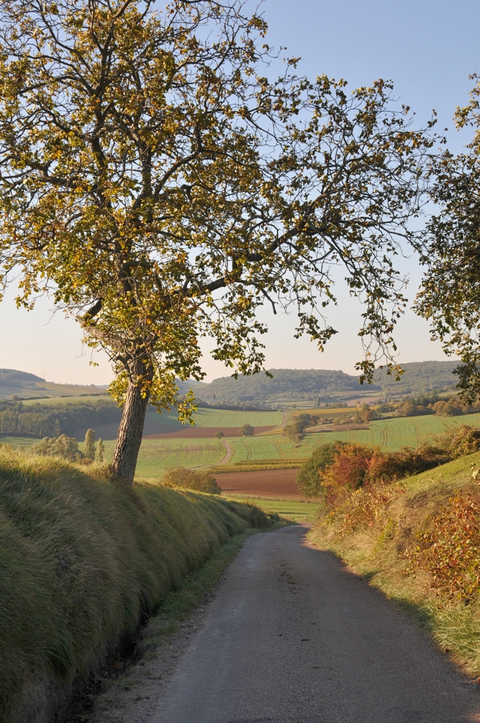 Chateauneuf-en-Auxois→Chateau Chalon