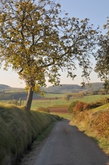 Chateauneuf-en-Auxois→Chateau Chalon