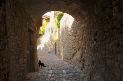 La Roque-sur-Ceze村内の石畳と猫