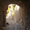 La Roque-sur-Ceze村内の石畳と猫