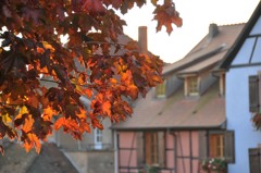 Riquewihr